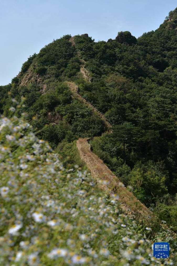 进入平台登录账号